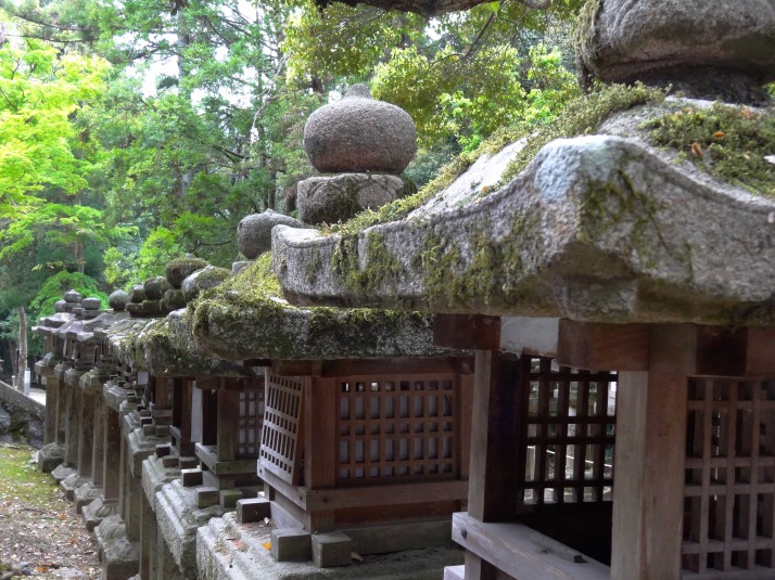 Just a few of the many stone lanterns lining the primeval forest trail outside the Wakamiya Jinja Shrine
