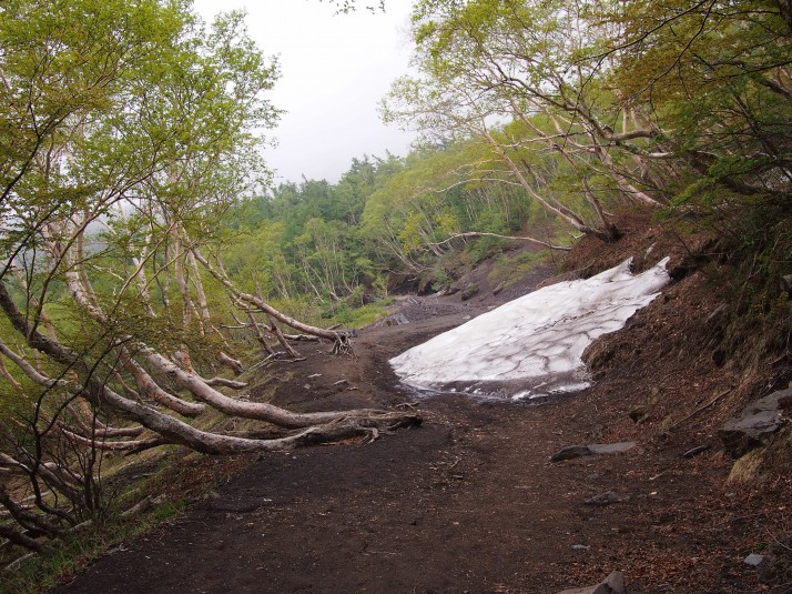 The start of the Yabashi Trail, from 5th Station to 6th. There's still snow on the ground at the end of June