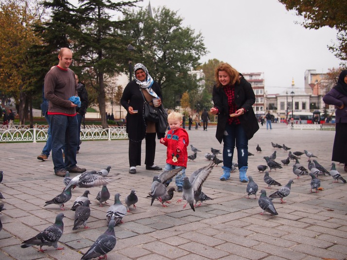 Feeding the pigeons