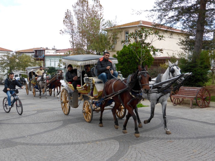 Buyukada horse and carriage