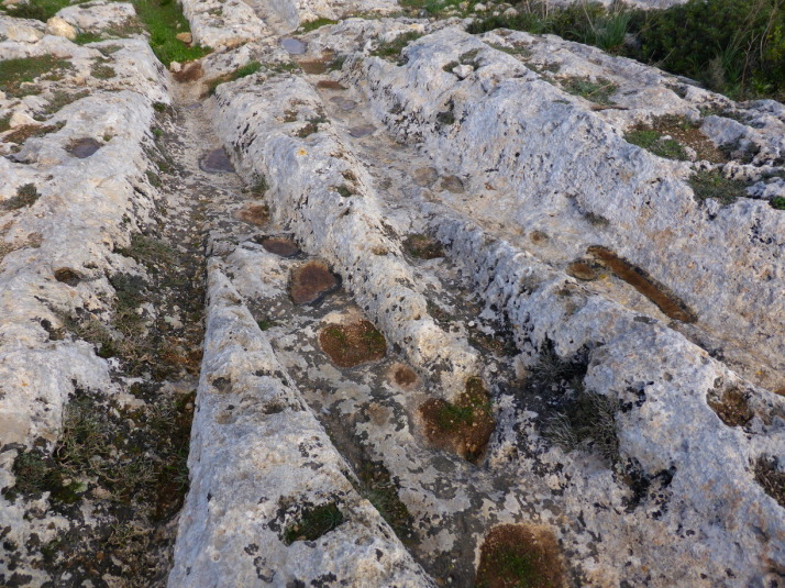 A small section of the 'Cart Ruts' at the so-called 'Clapham Junction' - what were they used for?