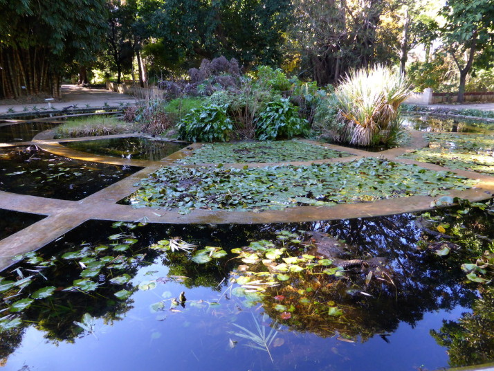 Outdoor aquarium, Orto Botanico, Palermo, Sicily