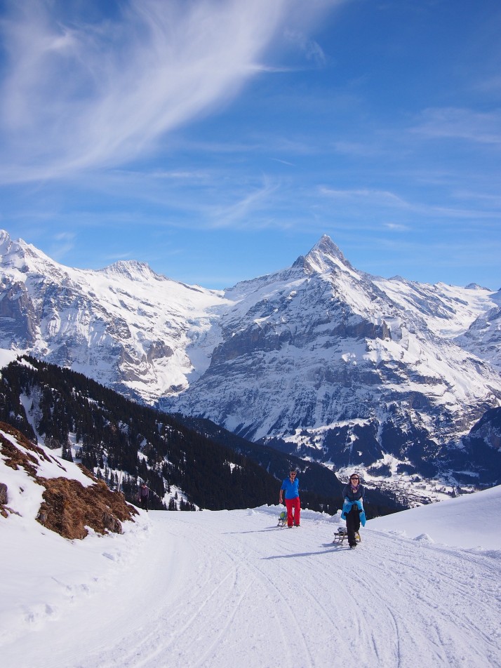 Climbing to the top of the sledge run