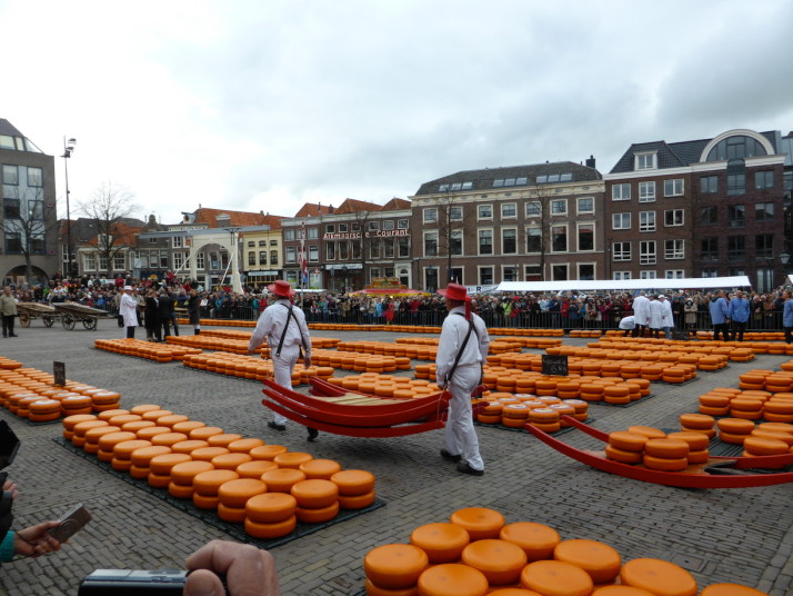 Alkmaar wholesale cheese auction, Alkmaar, Holland, Netherlands