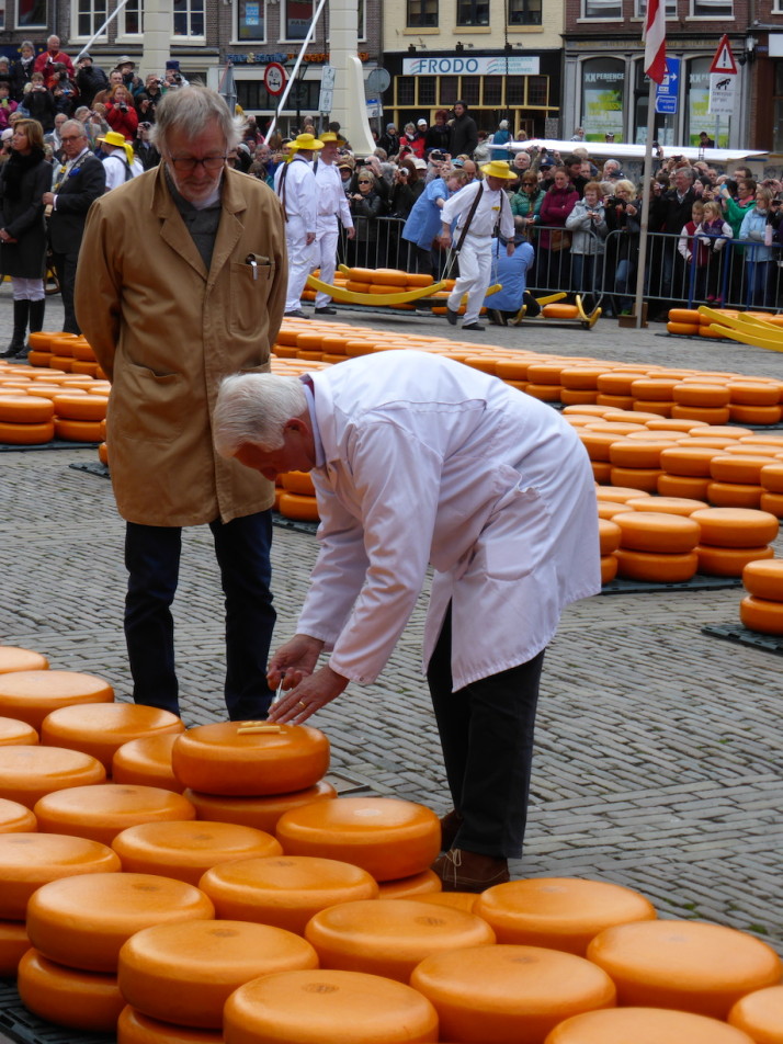 Cheese sampling, Alkmaar, Holland, Netherlands