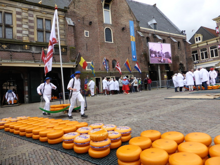 Cheese runners at full pelt, Alkmaar, Holland, Netherlands