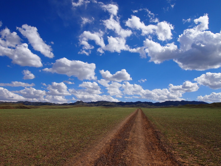 Mongolian road