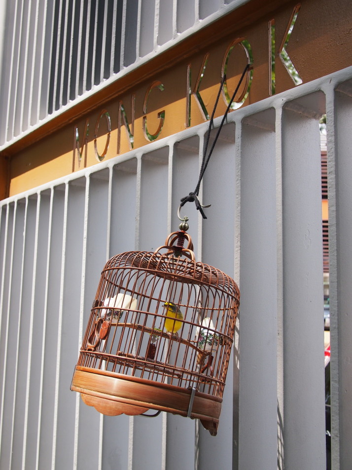 Mong Kok bird market