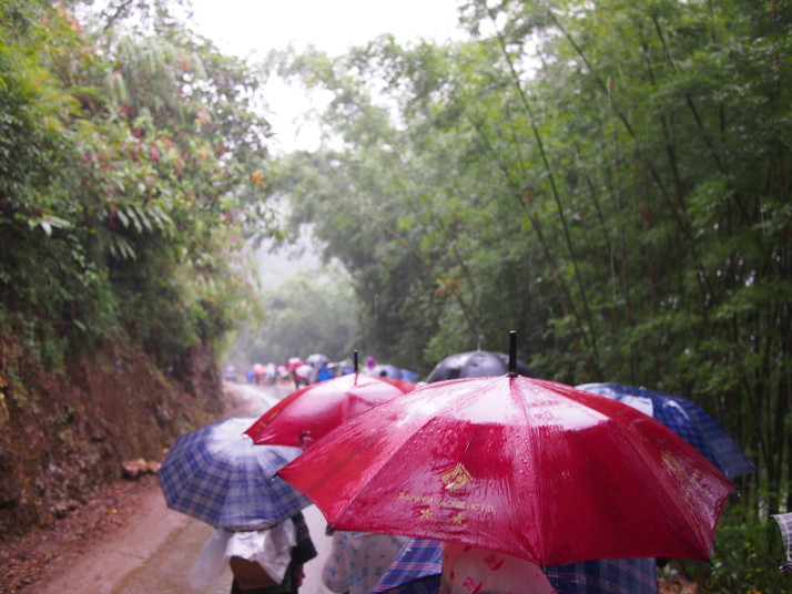 Umbrellas in Sa Pa