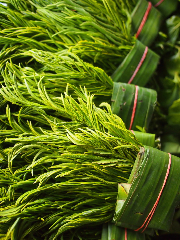 Bundles of herbs