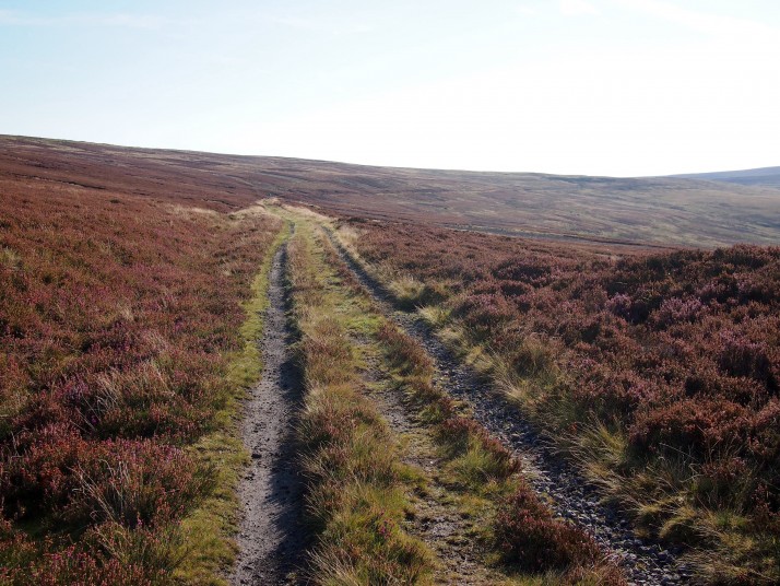 Moorland track above Rookhope