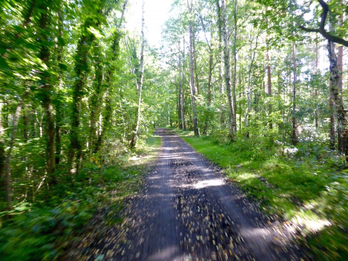 Derwent Valley path