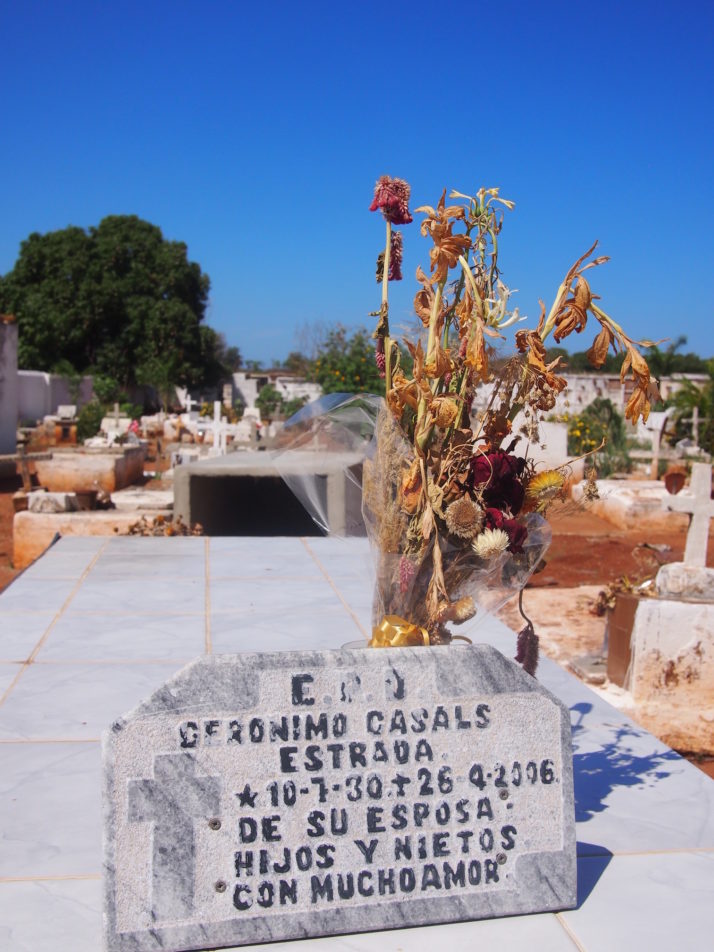 Dried flowers on grave, Trinidad