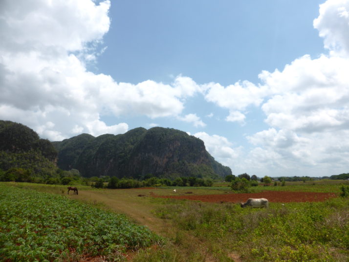 Viñales countryside