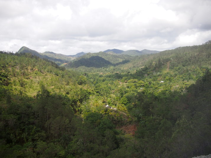 View from La Farola